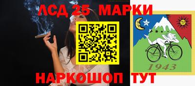 Альфа ПВП Будённовск