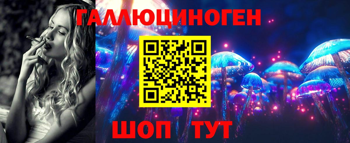 Кореновск  Псилоцибиновые грибы прущие грибы  Вход с VPN 